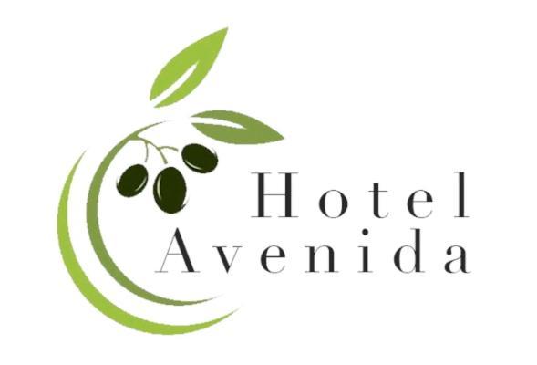 Hotel Avenida Беас-де-Сегура Экстерьер фото